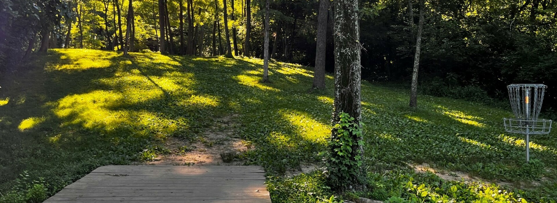 Disc Gold and trees